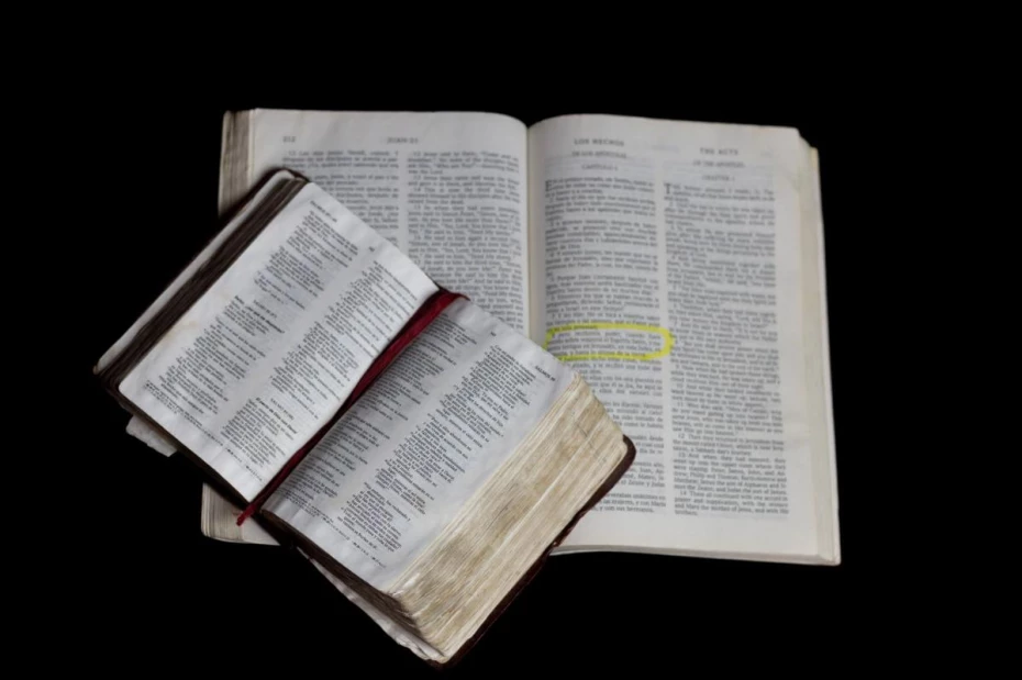 Foto 2:  — Comércio de Biblias, Livros e Harpas Online W5